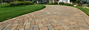 Patio-Cleaning-Surrey