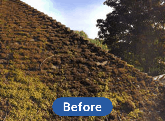 Before-Roof-Cleaning